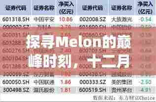 Melon巅峰时刻揭秘，十二月十日实时排名背后的故事