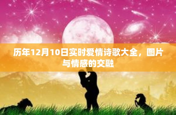 历年12月10日爱情诗歌集锦,情感与图片的完美交融
