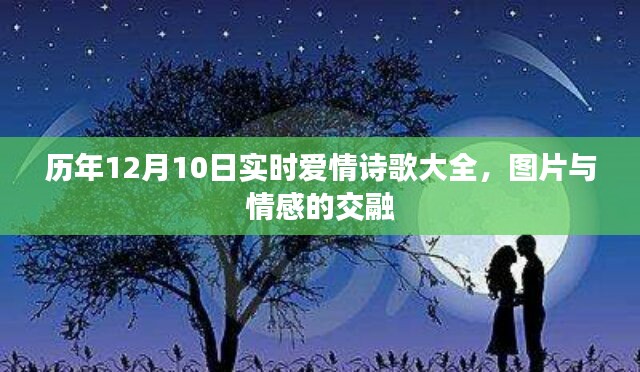 历年12月10日爱情诗歌集锦,情感与图片的完美交融