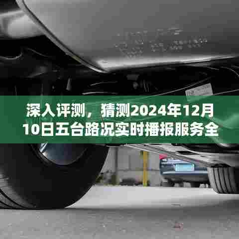 杳无音信 第3页