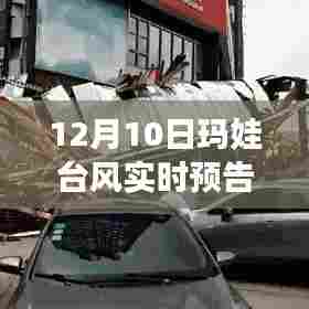 玛娃台风实时预告,全方位测评与深度介绍(12月10日更新)