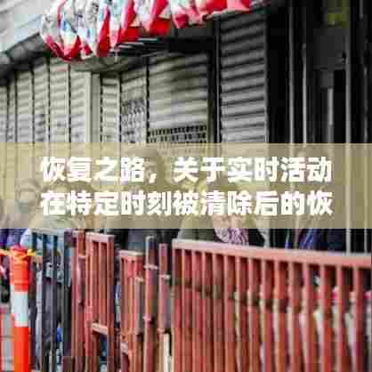 实时活动恢复策略深度解析，恢复之路的探讨与实践