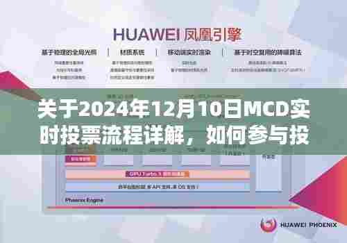 2024年MCD实时投票流程详解，参与投票指南