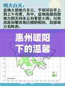 惠州暖阳下的温馨时光,2024年12月10日的暖冬记忆