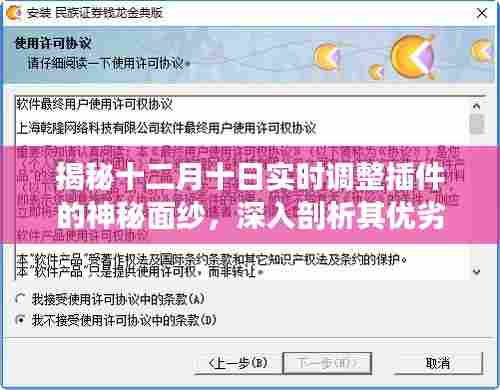 揭秘十二月十日实时调整插件的神秘面纱,深度剖析优劣与我的观点分享
