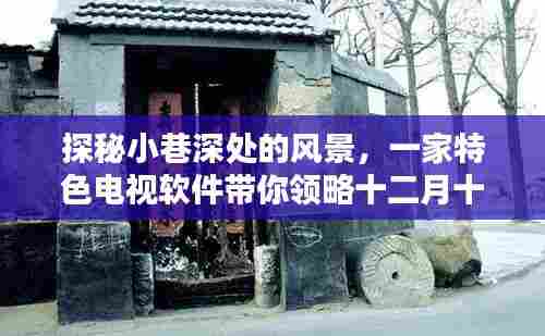 探秘小巷深处特色电视软件,十二月十日别样风情领略之旅