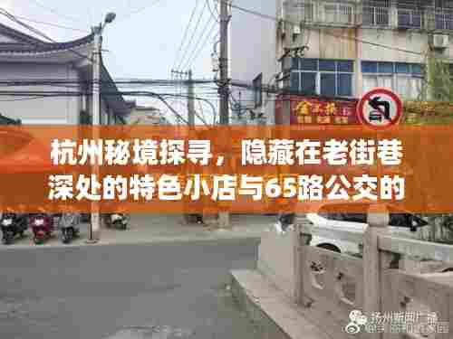 杭州老街巷深处的特色小店与公交奇妙之旅