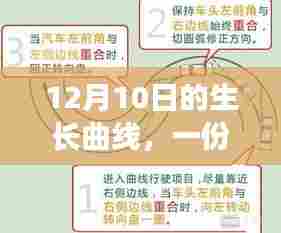 生长曲线与温馨记忆之旅,保存图解与回忆的交织