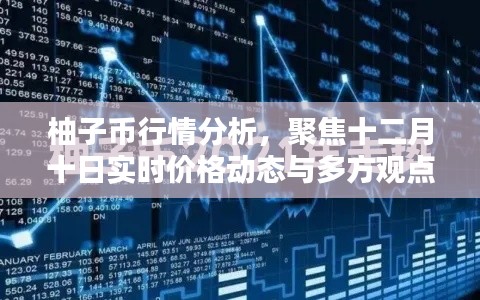 柚子币行情深度解析,十二月十日实时价格动态与多方观点碰撞
