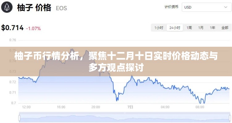 柚子币行情深度解析,十二月十日实时价格动态与多方观点碰撞