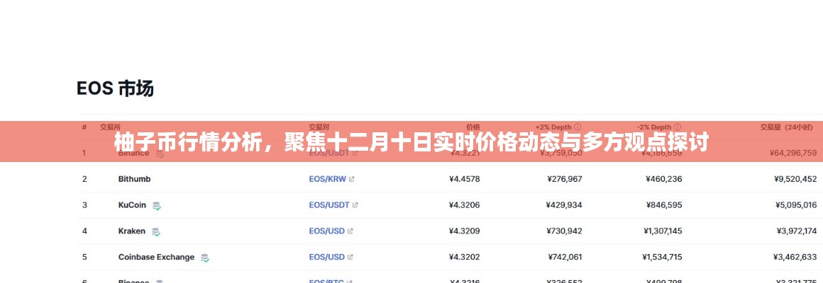 柚子币行情深度解析,十二月十日实时价格动态与多方观点碰撞