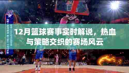 篮球热血风云,赛场上的策略与激情解说纪实