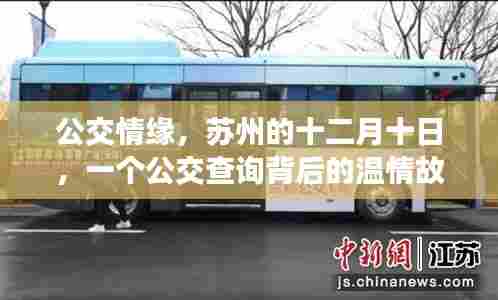 公交情缘,苏州十二月十日背后的温情故事