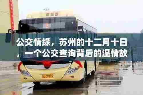 公交情缘,苏州十二月十日背后的温情故事