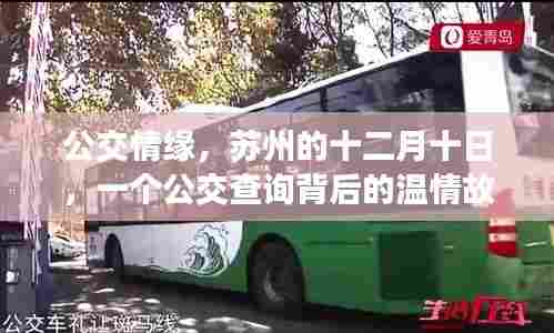 公交情缘,苏州十二月十日背后的温情故事