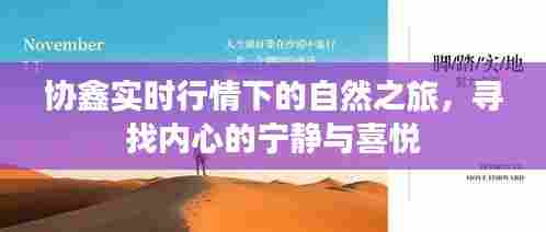 协鑫实时行情下的自然探索，追寻内心宁静与喜悦的旅程