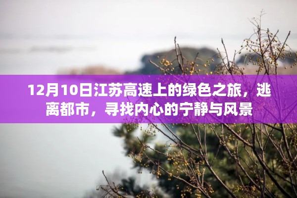 江苏高速绿色之旅,逃离都市喧嚣,探寻内心宁静与风景的奇妙之旅