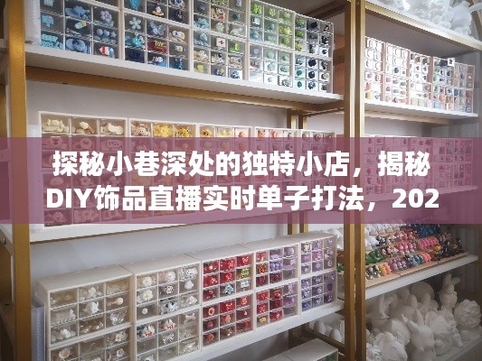探秘小巷独特小店与DIY饰品直播秘籍,实时单子打法指南(2024年12月版)