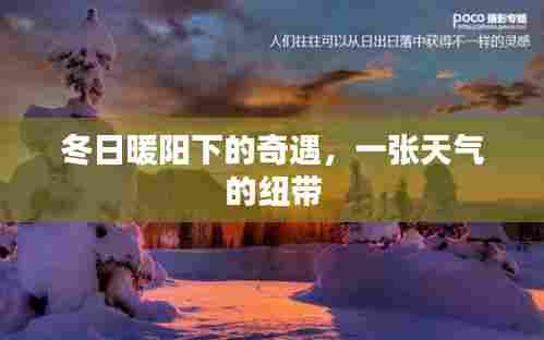 冬日暖阳下的奇遇,天气纽带牵动人心