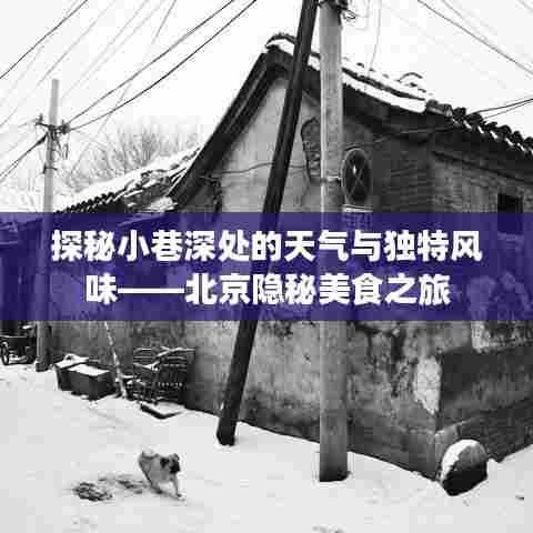 北京小巷深处的天气与美食探秘,隐秘美食之旅