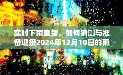 实时下雨直播，如何预测并准备迎接即将到来的雨幕（2024年12月10日）
