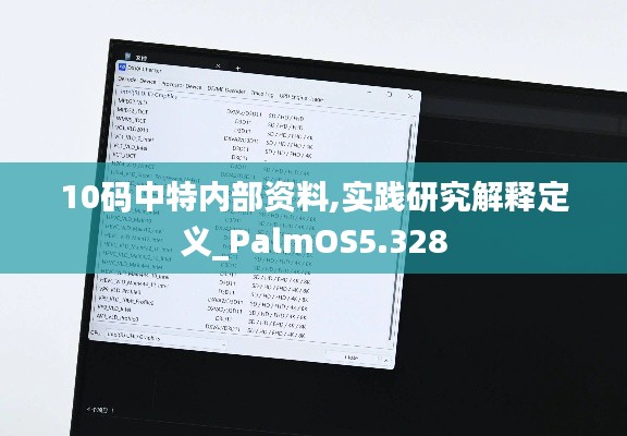 10码中特内部资料,实践研究解释定义_PalmOS5.328