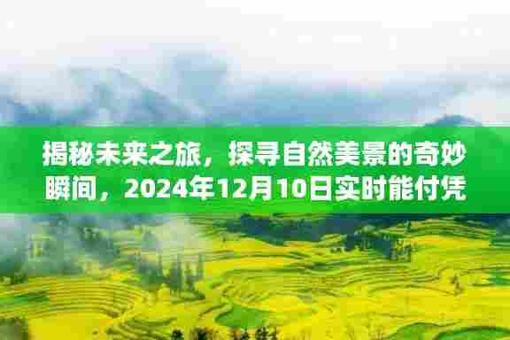 揭秘未来之旅,探寻自然美景的启示与实时能付凭证的神秘之旅(2024年12月10日)