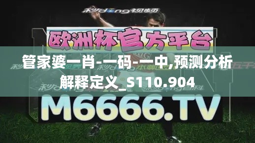 管家婆一肖-一码-一中,预测分析解释定义_S110.904