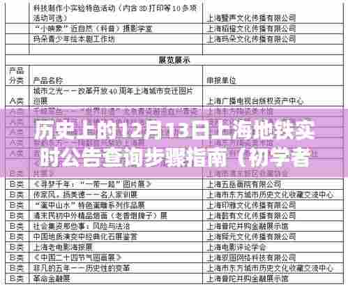 历史上的12月13日上海地铁实时公告查询步骤指南,适合初学者与进阶用户