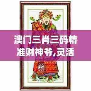 澳门三肖三码精准财神爷,灵活性方案解析_Deluxe10.198