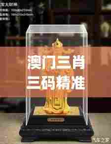 澳门三肖三码精准财神爷,灵活性方案解析_Deluxe10.198