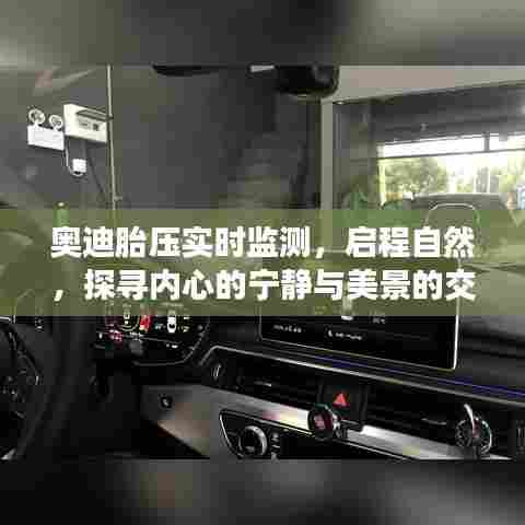 奥迪胎压实时监测,启程探寻心景交融之旅
