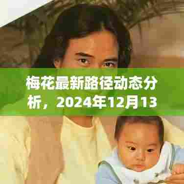 梅花最新路径动态分析，实时观察与解读（2024年12月13日）