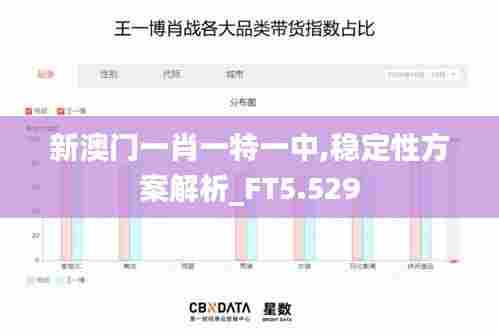 新澳门一肖一特一中,稳定性方案解析_FT5.529