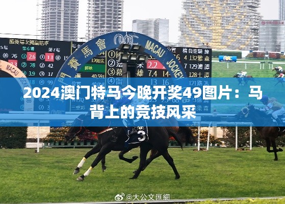 2024澳门特马今晚开奖49图片:马背上的竞技风采