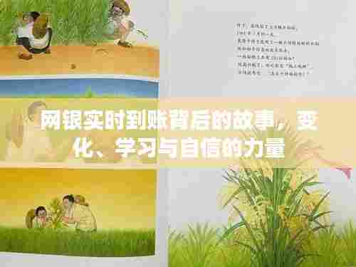 网银实时到账背后的故事,变革、学习与自信的力量驱动发展