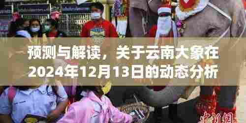 关于云南大象在特定日期的动态预测与解读分析报告