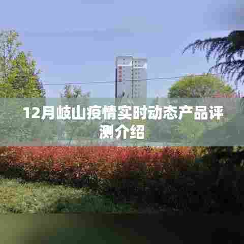 12月岐山疫情实时动态产品全面评测介绍