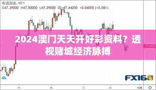 2024澳门天天开好彩资料?透视赌城经济脉搏