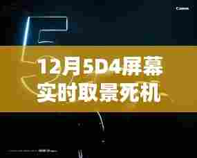 12月5D4屏幕实时取景死机问题深度解析与观点分享