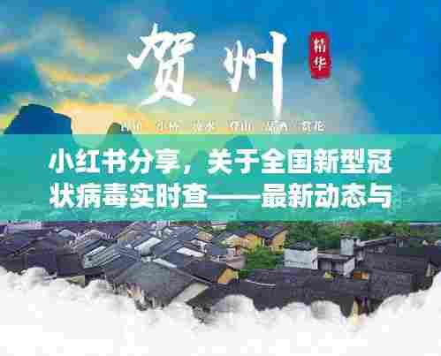 小红书分享，全国新型冠状病毒实时查最新动态与解读