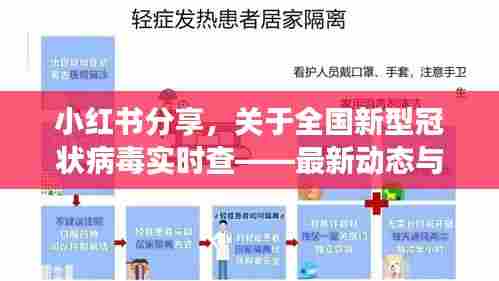 小红书分享,全国新型冠状病毒实时查最新动态与解读