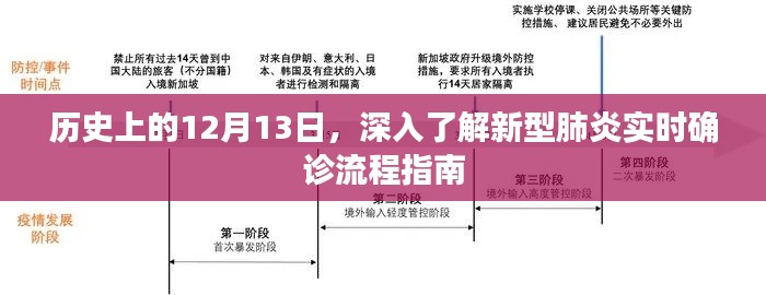 历史上的重要日子,新型肺炎实时确诊流程指南深度解析