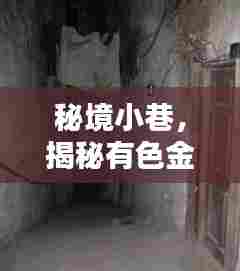 秘境小巷,有色金属期货行情下的独特小店探秘