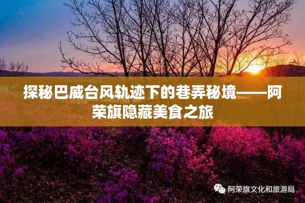 巴威台风轨迹下的巷弄秘境,阿荣旗美食探秘之旅