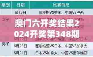 澳门六开奖结果2024开奖第348期:财富之门再度开启