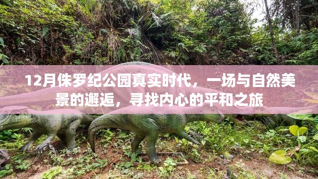 侏罗纪公园真实时代,与自然美景的邂逅与内心平和之旅