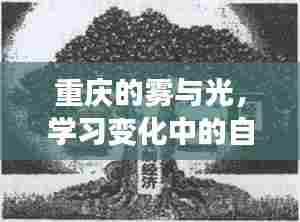 重庆雾都之光，自信成就之旅