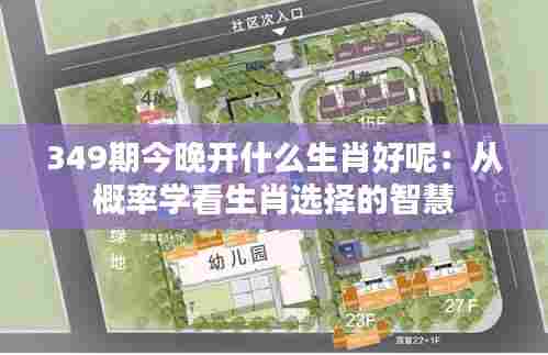 349期今晚开什么生肖好呢:从概率学看生肖选择的智慧