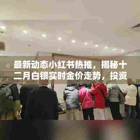 揭秘十二月白银实时金价走势,小红书热推的投资收藏必备攻略!